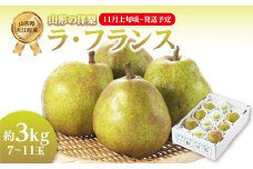 《先行受付》ラ・フランス 約3kg （7～11玉） 【2025年11月上旬頃～発送予定】【山形洋梨】 【001-081】