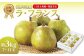 《先行受付》ラ・フランス 約3kg （7～11玉） 【2025年11月上旬頃～発送予定】【山形洋梨】