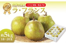 《先行受付》ラ・フランス 約5kg（18～20玉）【2025年11月上旬頃～発送予定】【山形洋梨】ラフランス 山形県 大江町 フルーツ 果物 西洋梨 デザート 洋梨 梨 ナシ 大玉 大きい JA さがえ西村山 【001-082】
