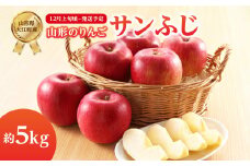《先行受付》サンふじ約5kg 【2025年12月上旬頃～発送予定】【山形りんご・大江町産】 【001-083】