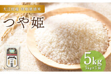 【令和6年産米】※2025年7月中旬より順次発送予定 大江町産 つや姫 5kg【山形県産 特別栽培米】【2024年産米】【001-087】