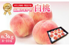 《先行受付》おまかせ 白桃 約3kg（8～10玉）【2025年8月上旬頃～発送予定】 【001-089】