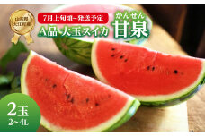 《先行受付》A品 大玉スイカ「甘泉」2玉 2L～4L【2025年7月上旬頃～発送予定】【山形スイカ・大江町産】 【001-093】
