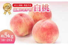 《先行予約》おまかせ 白桃 約5kg（18～25玉）【2025年8月上旬頃～発送予定】【山形もも・大江町産】 【001-090】