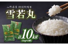 【令和6年産米】 特別栽培米 雪若丸 10kg 【山形県産】【2024年産米】 【001-095】