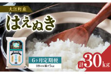 《6ヶ月定期便》大江町産 はえぬき 5kg×6ヶ月(計30kg)【山形県産】 【001-T06】