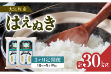 《3ヶ月定期便》大江町産 はえぬき 10kg(5kg×2袋)×3ヶ月(計30kg)【山形県産】 【001-T24】