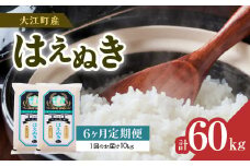 《6ヶ月定期便》大江町産 はえぬき 10kg(5kg×2袋)×6ヶ月(計60kg)【山形県産】 【001-T25】