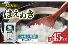 《9ヶ月定期便》大江町産 はえぬき 5kg×9ヶ月(計45kg)【山形県産】 【001-T37】
