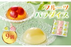 御菓子処蝶谷　フルーツパラダイス　9ヶ入・化粧箱 【007-008】