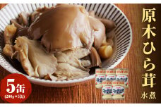大江町柳川産 原木ひら茸水煮200g×5缶(固形量） 【014-004】
