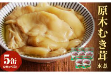 大江町柳川産 原木むき茸水煮200g×5缶(固形量） 【014-005】