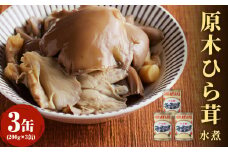 大江町柳川産 原木ひら茸水煮200g×3缶（固形量） 【014-014】