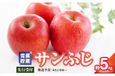 《先行受付》家庭用 雪蔵貯蔵 サンふじ 約5kg【2025年4月上旬頃～発送予定 冷蔵お届け】【大江町産・山形りんご・りんご専科 清野】 【015-051】