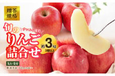 《先行受付》贈答規格 旬のりんご詰合せ約3kg（サンふじ確約3種以上）特秀～秀 大江町産【2025年12月上旬頃～発送予定】【大江町産・山形りんご・りんご専科 清野】 【015-052】