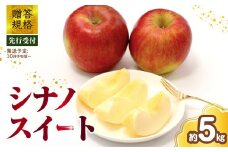 《先行受付》 贈答規格 シナノスイート約5kg（特秀～秀14～20玉）【2025年10月中旬～発送予定】【大江町産・山形りんご・りんご専科 清野】 【015-056】