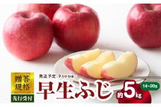 《先行受付》贈答規格 早生ふじ約5kg（特秀～秀14～20玉）【2025年9月中旬頃～発送予定】【大江町産・山形りんご・りんご専科 清野】 【015-054】