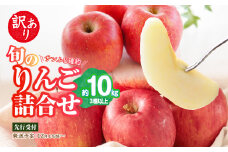 《先行受付》訳あり 旬のりんご詰合せ約10kg（サンふじ確約3種以上）【2025年12月上旬頃～発送予定】【大江町産・山形りんご・りんご専科 清野】 【015-053】
