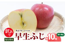 《先行受付》 訳あり 早生ふじ約10kg（28～46玉）【2025年9月中旬～発送予定】【大江町産・山形りんご・りんご専科 清野】 【015-055】