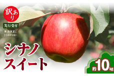 《先行受付》訳あり シナノスイート約10kg（28～46玉）【2025年10月中旬～発送予定】【大江町産・山形りんご・りんご専科 清野】 【015-057】