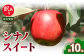 《先行受付》訳あり シナノスイート約10kg（28～46玉）【2025年10月中旬～発送予定】【山形りんご・りんご専科 清野】