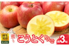 《先行受付》贈答規格 蜜入りこうとくりんご約3kg 特秀～秀【2025年11月上旬～発送予定】【大江町産・山形りんご・りんご専科 清野】 【015-058】