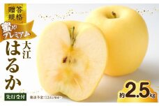 《先行受付》贈答規格 蜜入りプレミアム大江はるか約2.5kg 特秀～秀【2025年12月上旬～発送予定】【大江町産・山形りんご・りんご専科 清野】 【015-059】