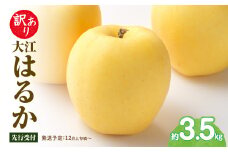 《先行受付》訳あり 大江はるか約3.5kg【2025年12月上旬～発送予定】【大江町産・山形りんご・りんご専科 清野】 【015-060】