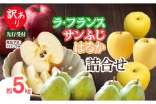 《先行受付》訳あり「ラ・フランス」「サンふじ」「はるか」約5kg詰合せ【2025年12月上旬～発送予定】【大江町産・山形りんご・りんご専科 清野】 【015-061】