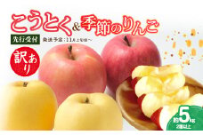 《先行受付》訳ありこうとく＆季節のりんご詰合せ約5kg 2種以上【2025年11月上旬～発送予定】【大江町産・山形りんご・りんご専科 清野】 【015-062】