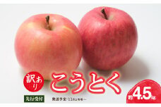 《先行受付》訳ありこうとく約4.5kg【2025年11月上旬～発送予定】【大江町産・山形りんご・りんご専科 清野】 【015-063】