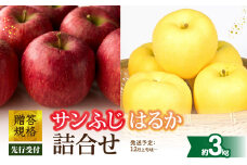 《先行受付》贈答規格「サンふじ」「はるか」約3kg詰合せ（特秀～秀）【2025年12月上旬～発送予定】【大江町産・山形りんご・りんご専科 清野】 【015-064】