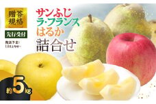 《先行受付》贈答規格「サンふじ」「ラ・フランス」「はるか」約5kg詰合せ（特秀～秀）【2025年12月上旬～発送予定】【大江町産・山形りんご・りんご専科 清野】 【015-065】