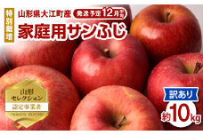 《先行受付》特別栽培 訳あり 家庭用サンふじ約10kg 【2025年12月中旬頃～発送予定】【山形りんご・大江町産・鈴木果樹園】 【025-014】