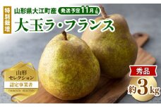 《先行受付》特別栽培 大玉 ラ・フランス 約3kg・秀品4L～3L 【2025年11月上旬頃～発送予定】 【025-016】