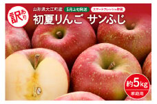《先行予約》訳あり 初夏りんご 家庭用 サンふじ 約5kg（スマートフレッシュ貯蔵）【2024年5月上旬頃～発送予定】【山形りんご・大江町産・5月・6月】 【028-019】