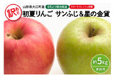 《先行受付》訳あり 初夏りんご 家庭用サンふじ＆星の金貨 約5kg（スマートフレッシュ貯蔵）【2025年4月発送予定】【山形りんご・大江町産・4月】 【028-023】