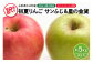《先行受付》訳あり 初夏りんご 家庭用サンふじ＆星の金貨 約5kg（スマートフレッシュ貯蔵）【2025年4月発送予定】