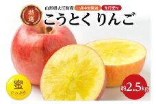 《先行受付》特選こうとくりんご約2.5kg 【2025年11月中旬頃～発送予定】【大江町産・山形りんご・大地農産・11月・12月】 【028-024】
