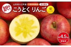 《先行受付》訳ありこうとくりんご約4.5kg 【2025年11月中旬頃～発送予定】【大江町産・山形りんご・大地農産・11月・12月】【028-025】