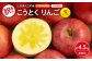 《先行受付》訳ありこうとくりんご約4.5kg 【2025年11月中旬頃～発送予定】【山形りんご・大地農産・11月・12月】