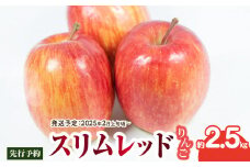 《先行予約》スリムレッドりんご 約2.5kg【2025年2月上旬頃～発送予定】【大江町産・山形りんご・りんご専科 清野】 【015-069】