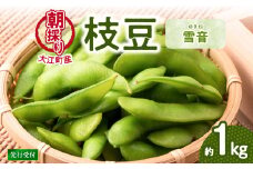 《先行受付》枝豆（雪音）約1kg【2025年8月末より順次発送予定】【022-004】