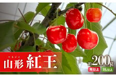 《先行予約》山形紅王（やまがたべにおう）約200g さくらんぼ 【2024年6月20日以降～発送予定】【022-006】