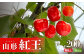 《先行予約》山形紅王（やまがたべにおう）約200g さくらんぼ 【2024年6月20日以降～発送予定】