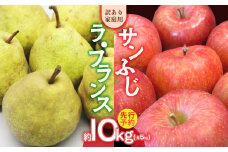 ≪先行受付≫訳あり 家庭用サンふじ＆ラ・フランス約10kg 【2025年12月上旬～配送】 【山形りんご・洋梨】 【054-002】