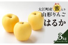 《先行予約》大江町産 山形りんご 「はるか」 3kg 2L～3L 10～11玉【2024年12月上旬頃～発送予定】【配送不可：沖縄県・離島】【048-003】