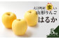 《先行予約》大江町産 山形りんご 「はるか」 3kg 2L～3L 10～11玉【2024年12月上旬頃～発送予定】