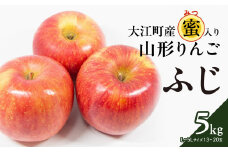 《先行予約》大江町産 山形りんご 「ふじりんご」 5kg L～5L 13～20玉【2024年11月下旬頃～発送予定】【配送不可：沖縄県・離島】【048-004】