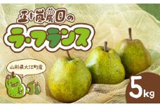《先行受付》大江町産 山形ラ・フランス 5kg 13～20玉 L～5L【2025年11月中旬頃～発送予定】【048-005】